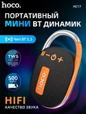 Колонка Hoco HC17 Easy joy sports (черный)